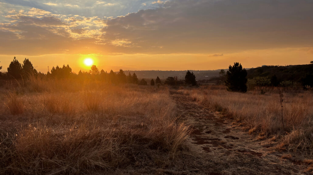 A beautiful sunset over a winter landscape showcasing a variety of warm colours ready to be used for a colour palette.
