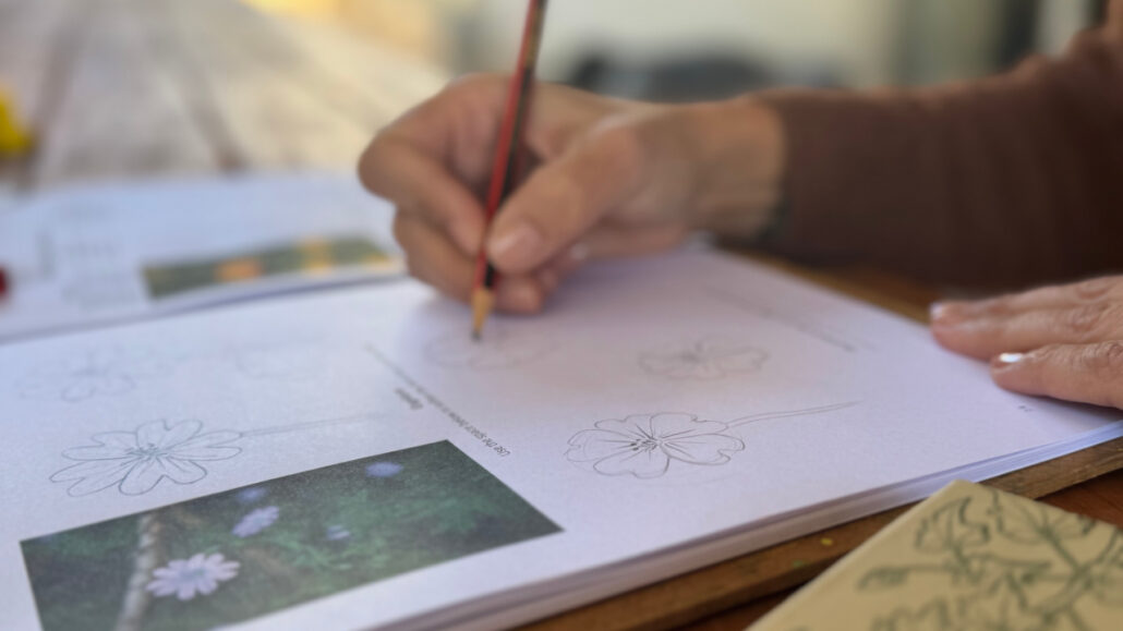 Artist Martie Erasmus drawing in her botanical sketchbook with pencil in a creative workspace symbolising creating before consuming.