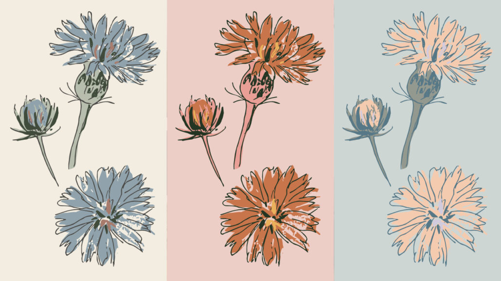 Three blocks of the same floral assets by Martie Erasmus for Creative Faith Studio showing how 3 different colour palettes can make a difference in the mood and aesthetic of a design. The first one is more muted and vintage, the second is more funky and fresh, and the last one is more soft and etherial.